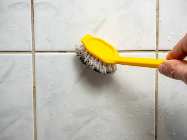 Best Mold Removal Near Me  in Bayou Gauche, LA