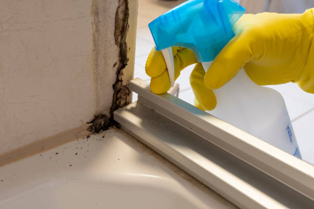 Best Toxic Mold Removal  in Bayou Gauche, LA