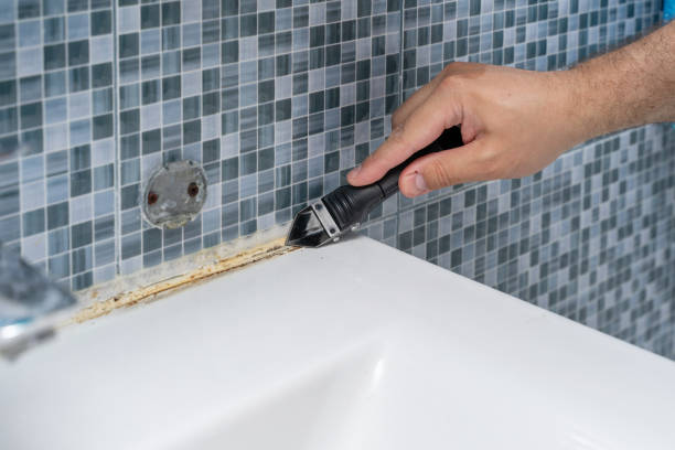 Best Best Mold Removal Companies  in Bayou Gauche, LA
