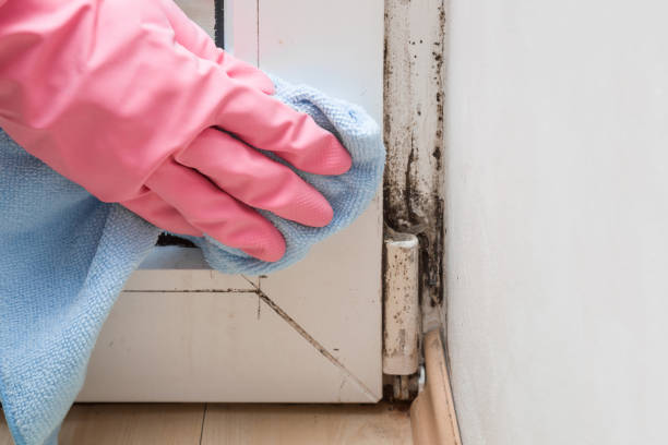 Water Damage Restoration in Bayou Gauche, LA